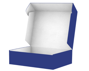 Single Side - Full Color Printed Mailer Box